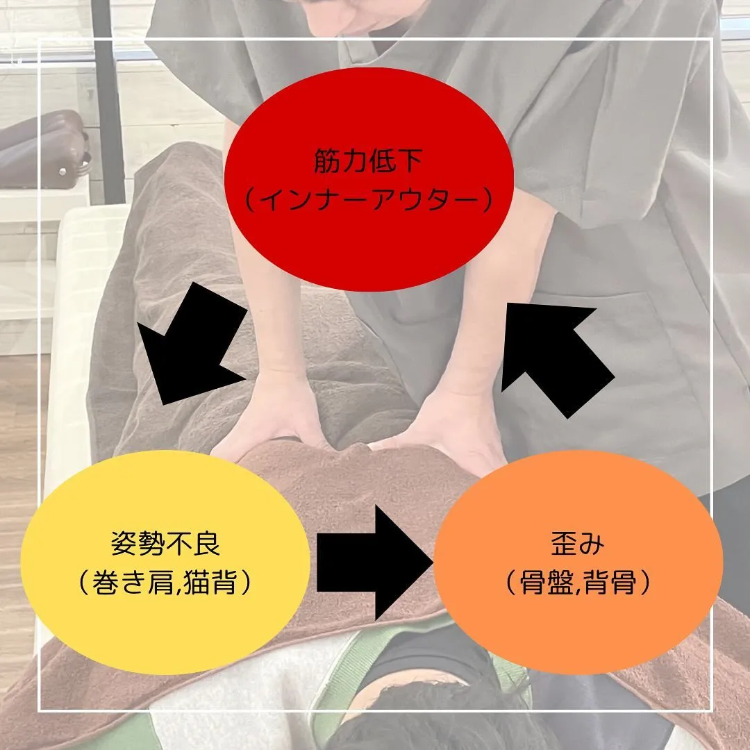 【西宮北口　鍼灸院】お身体の不調について