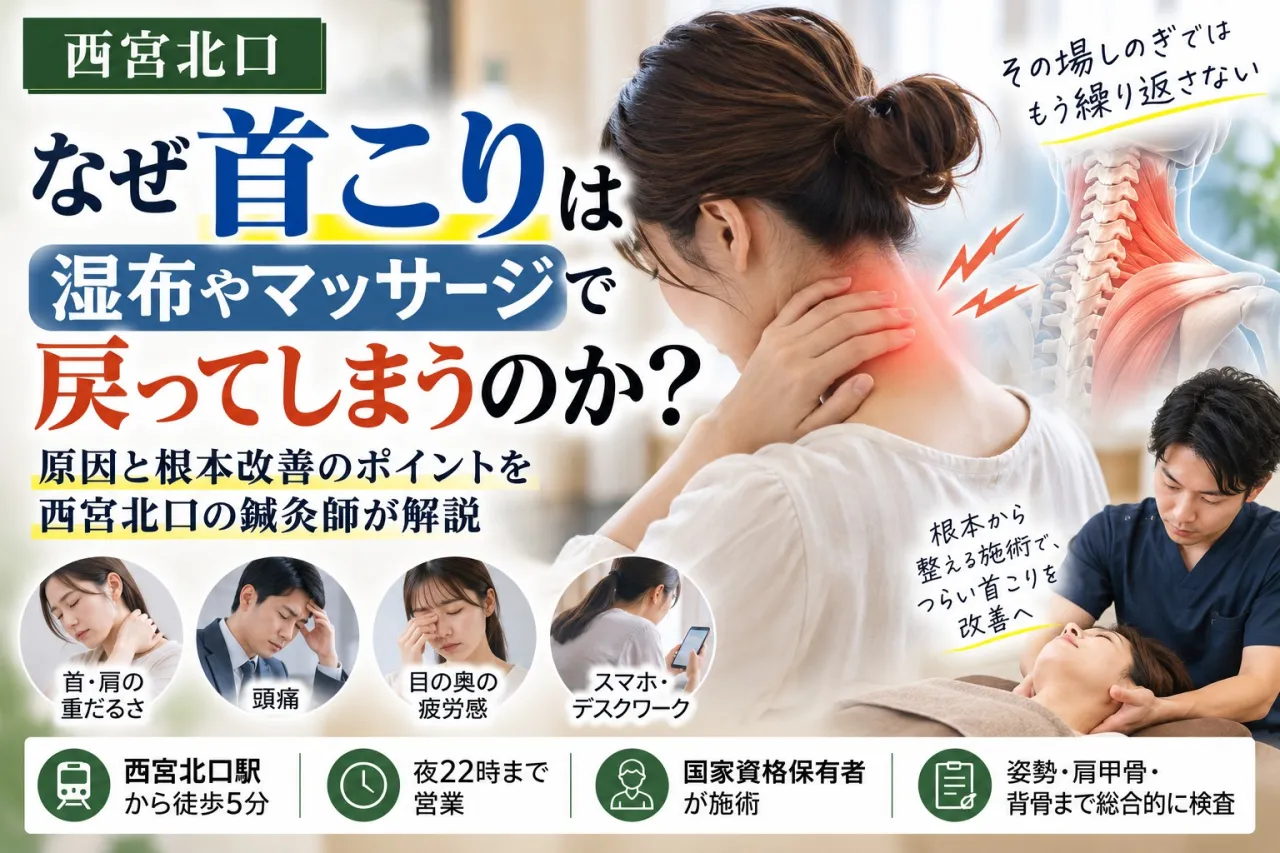 【西宮北口】なぜ首こりは湿布やマッサージで戻る？鍼灸師が原因と改善ポイントを解説